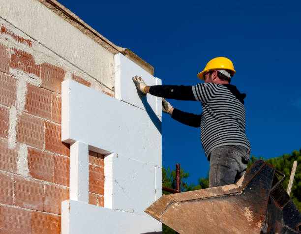 Best Local Insulation Services  in Kannapolis, NC