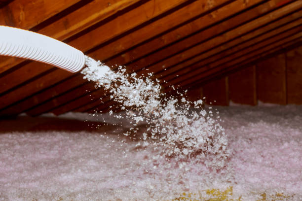 Best Garage Insulation Installation  in Kannapolis, NC