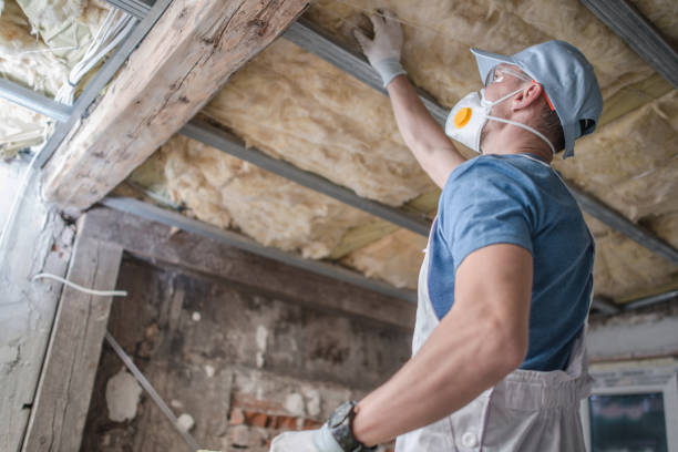 Best Energy-efficient Insulation  in Kannapolis, NC