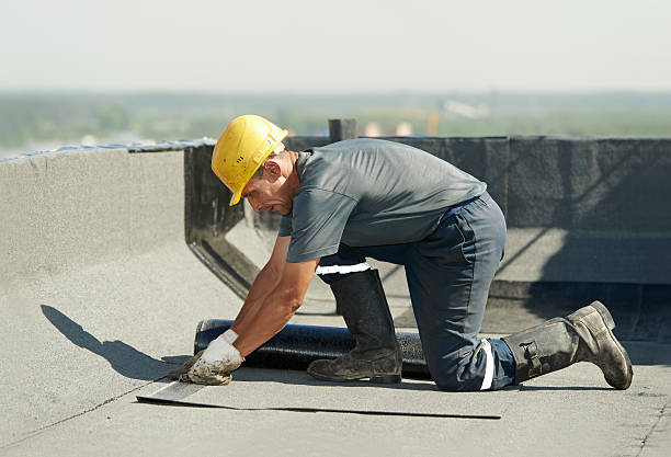 Best Insulation Removal  in Kannapolis, NC