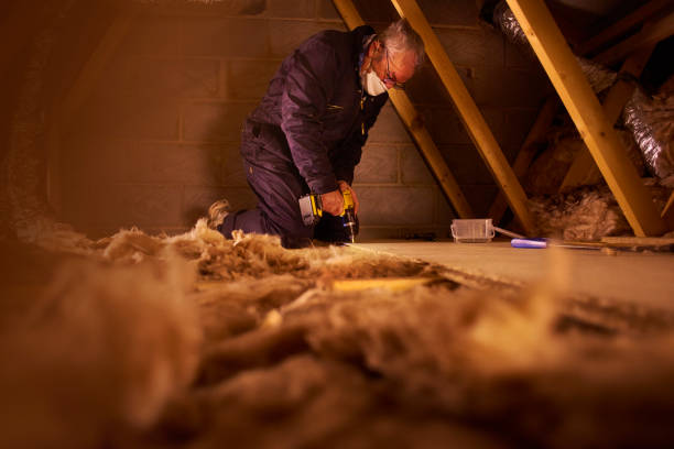 Best Insulation Contractor Near Me  in Kannapolis, NC